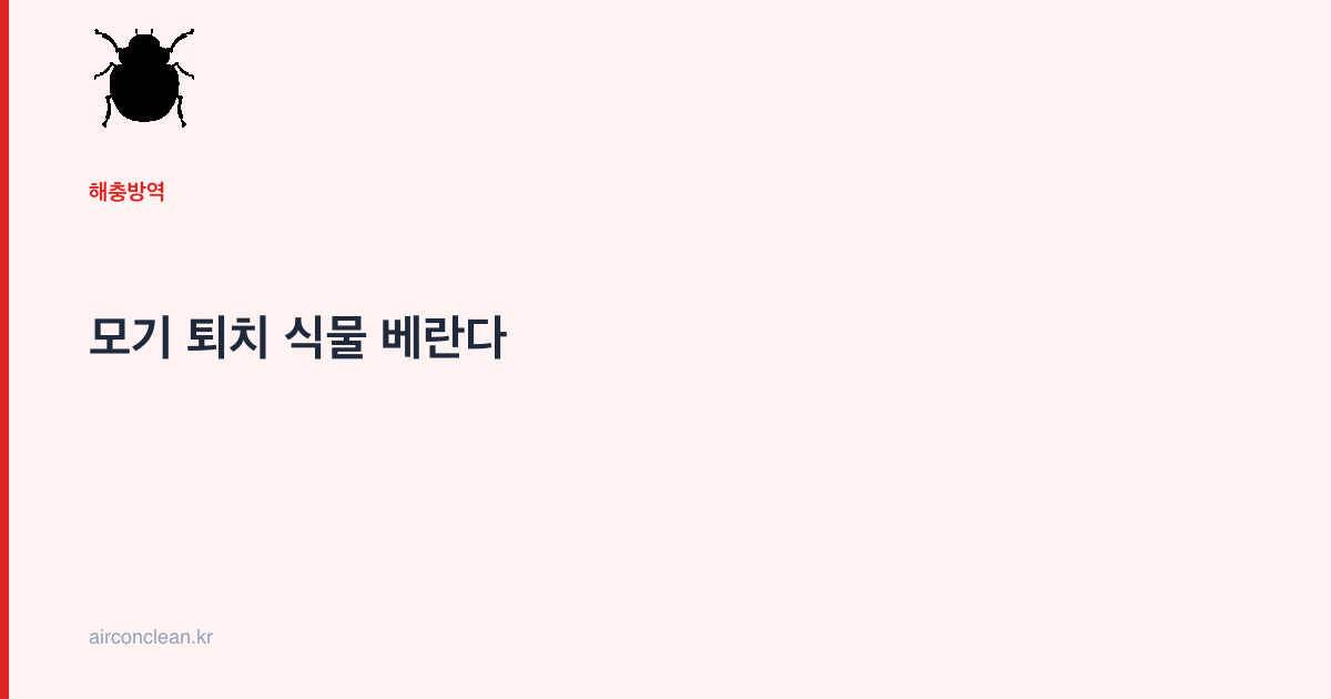 모기 퇴치 식물 베란다